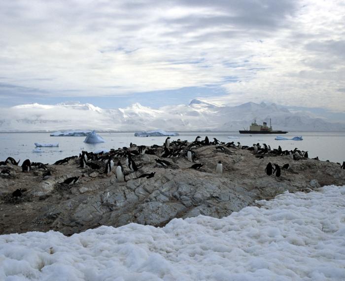 Expedition Cruises